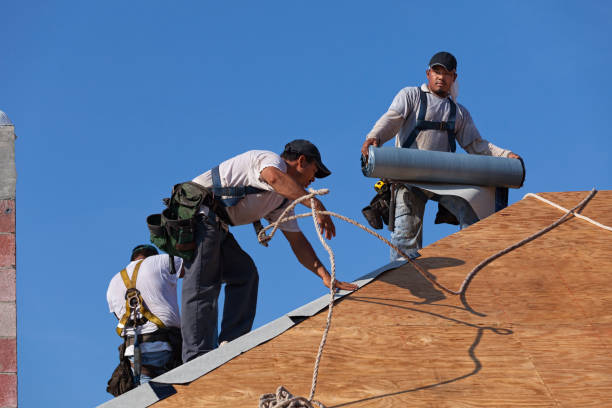 Best Metal Roofing Contractor  in Marienville, PA
